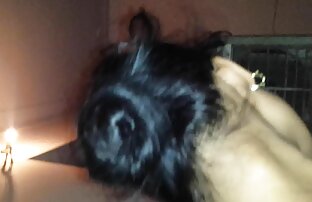 XXX Đẹp cô gái được cứng phim xxx hay khong che hậu môn và dp